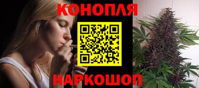 крисы Беслан