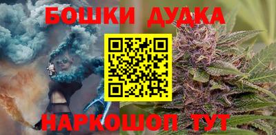 крисы Беслан