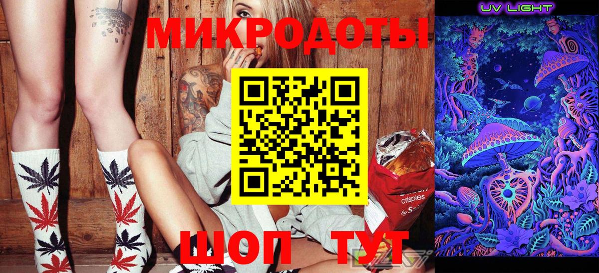 Галлюциногенные грибы Psilocybe Йошкар-Ола